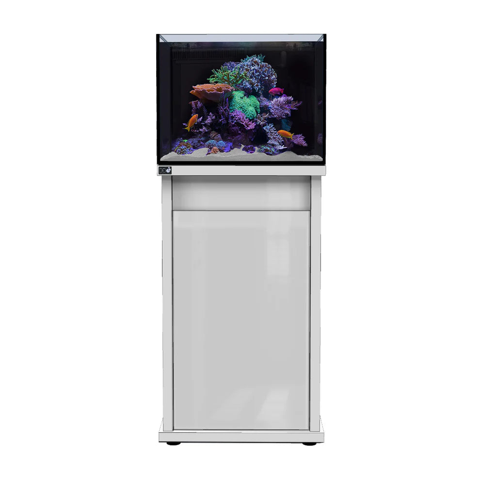 D-D Reef-Pro 600