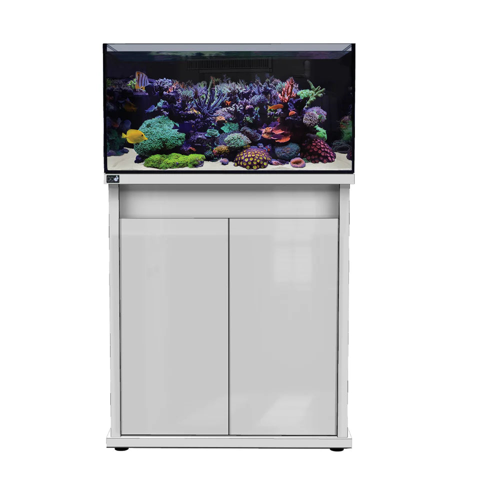 D-D Reef-Pro 900